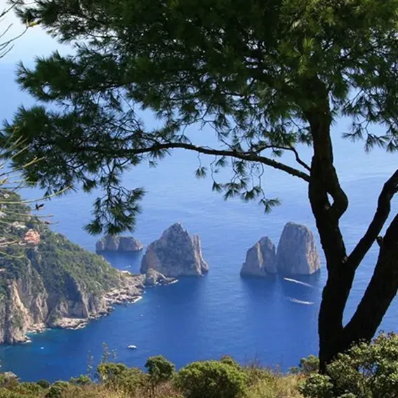 Tour in barca Capri