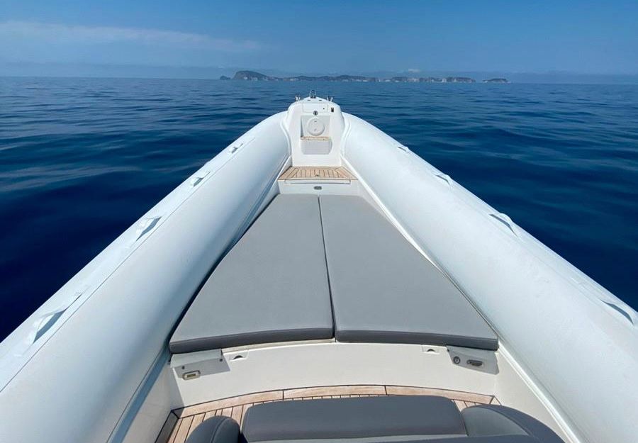 WhatsApp Image 2026-02-10 at 19.21