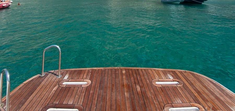 WhatsApp Image 2026-02-10 at 19.21