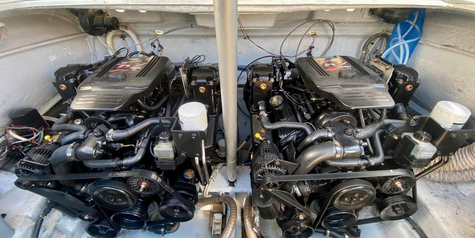 WhatsApp Image 2026-02-10 at 19.21